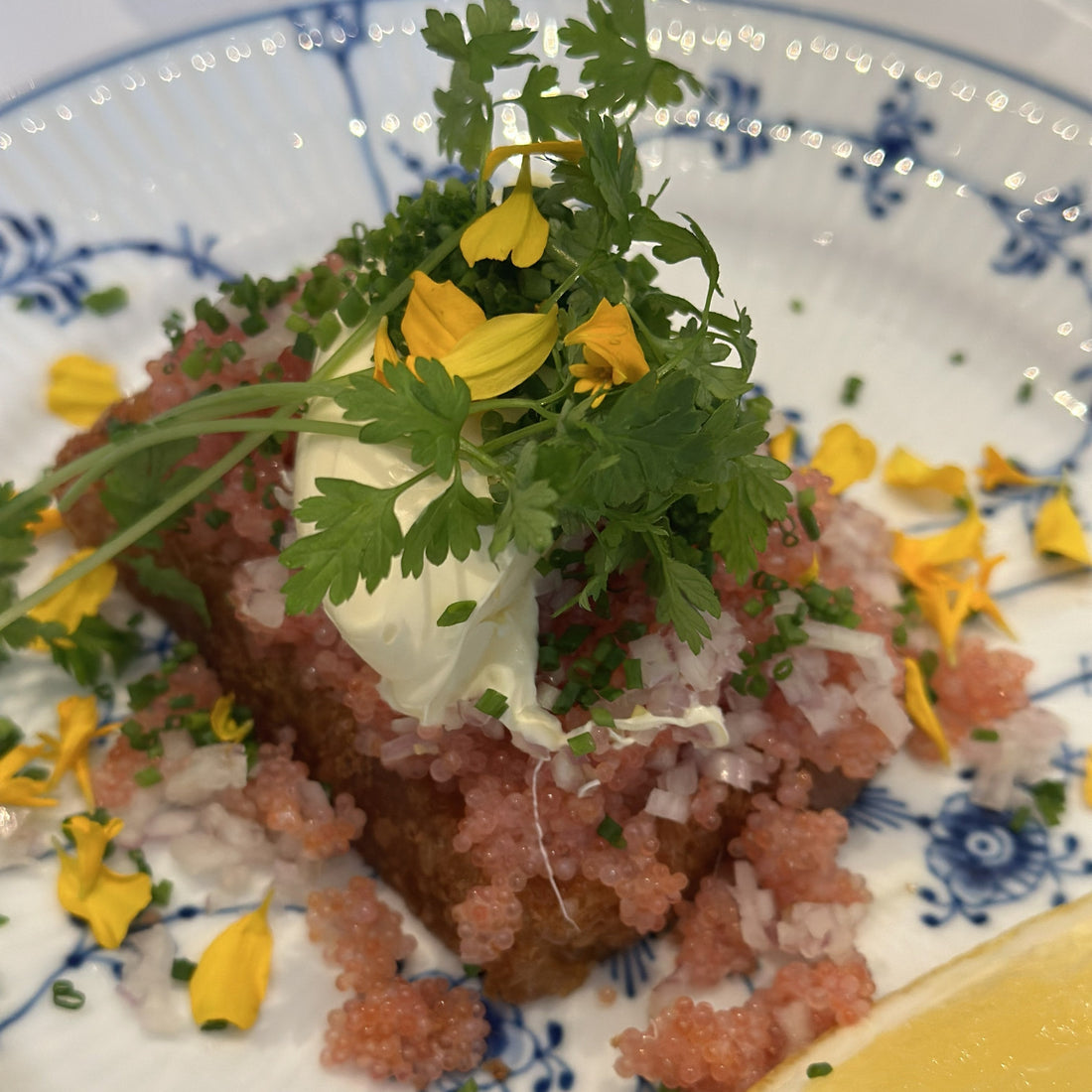 Stenbiderrogn - så er det tid igen