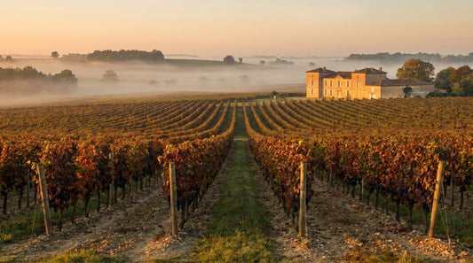 Bordeaux: Blandingens mestre