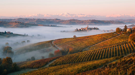 Piemonte: Nebbiolos kongerige