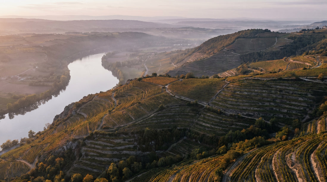 Rhône: Syrah i nord, blandinger i syd