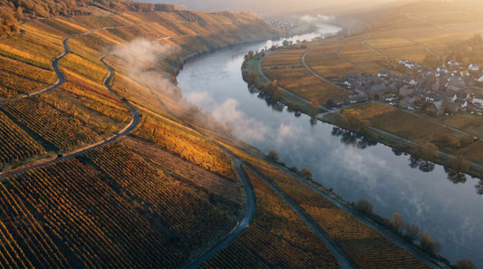Tyskland: Rieslings store hjemland